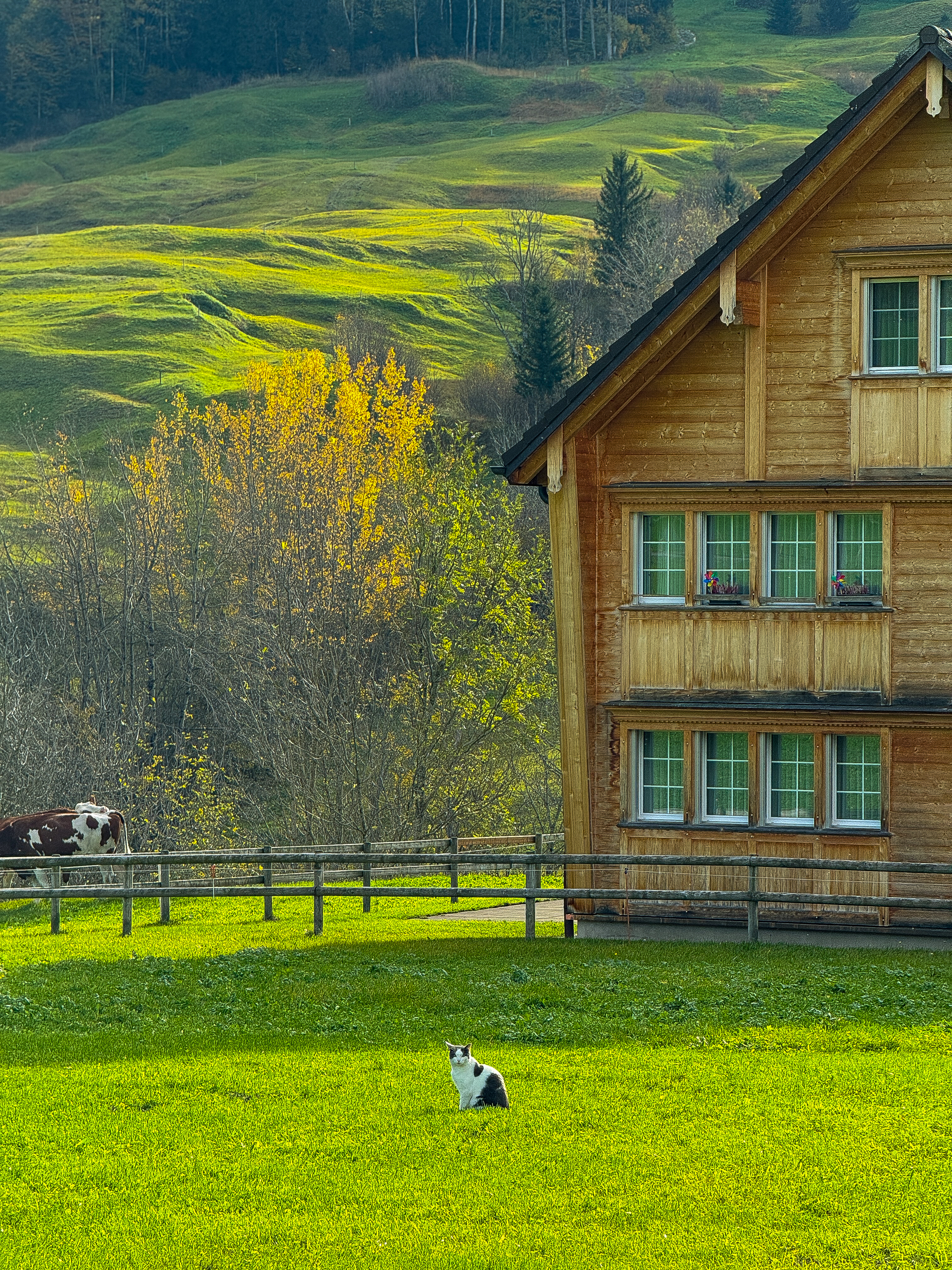 Travel article hero image